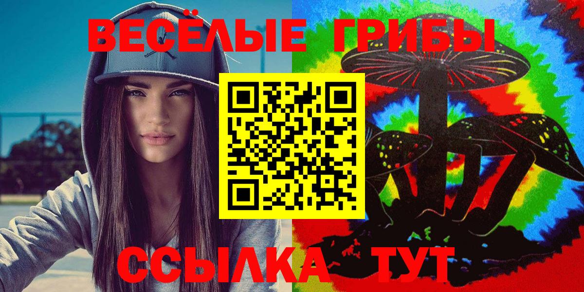 Псилоцибиновые грибы прущие грибы  Вход с VPN  Киржач 