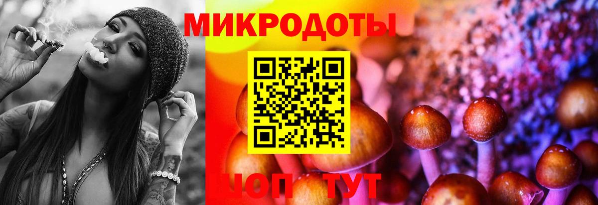 Галлюциногенные грибы Psilocybine cubensis Киржач